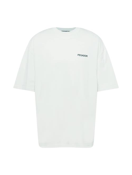 Pegador Bluser & t-shirts 'ALESO'  lysebeige / pastelblå / sort