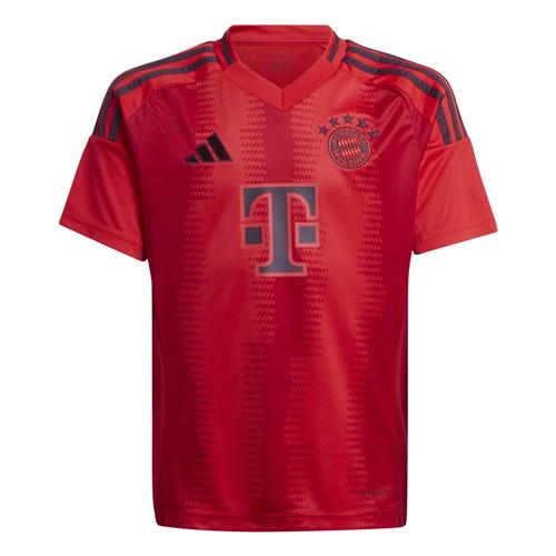 ADIDAS PERFORMANCE Funktionsskjorte 'FC Bayern 24/25 Away'  rød / sort