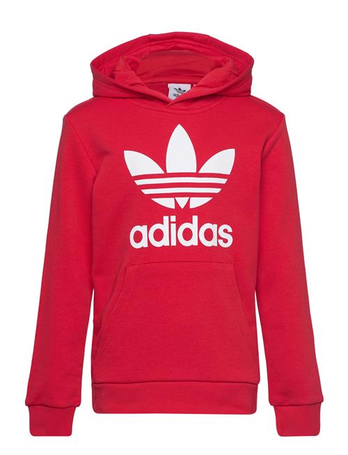 Trefoil Hoodie Adidas Originals Red