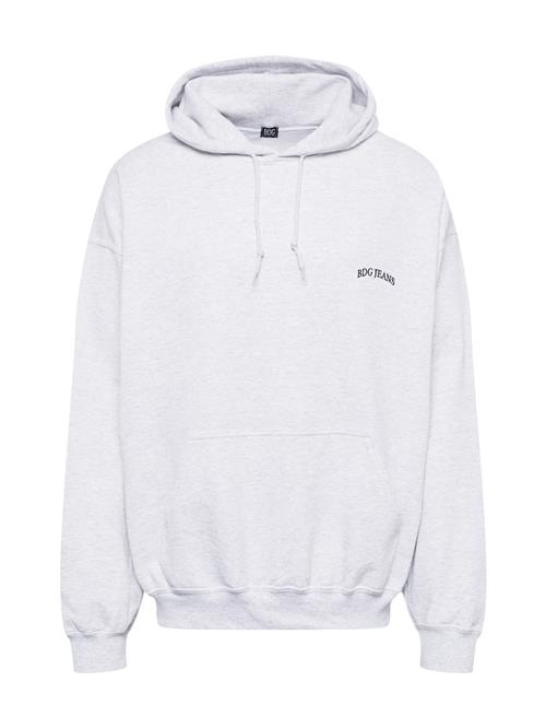 BDG Urban Outfitters Sweatshirt  grå-meleret