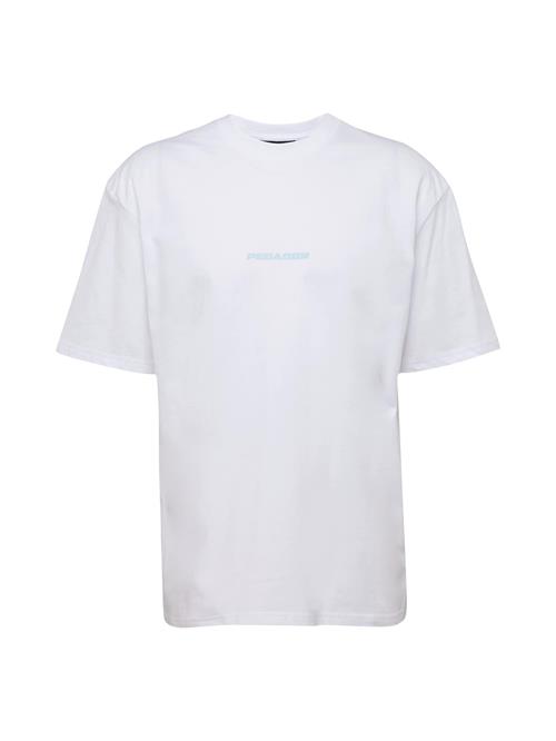 Pegador Bluser & t-shirts 'COLNE'  pastelblå / hvid