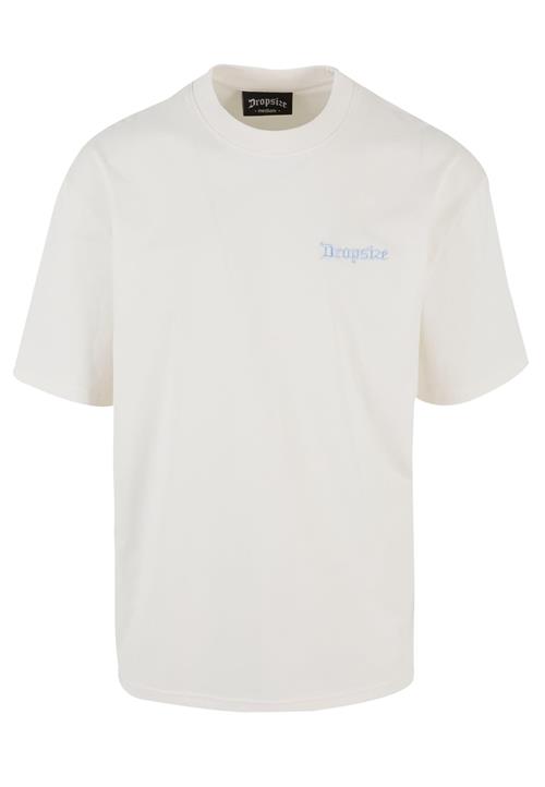 Se Dropsize Bluser & t-shirts 'Embo'  pastelblå / offwhite ved About You