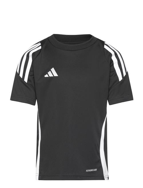 adidas Performance Tiro24 Jsyy Adidas Performance Black