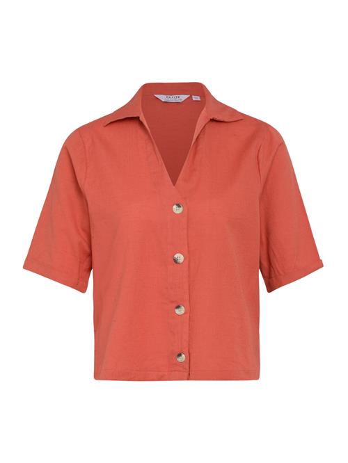 Dorothy Perkins Petite Bluse  hummer