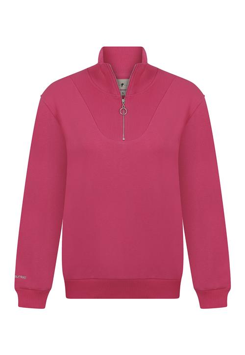 DENIM CULTURE Sweatshirt 'Tatiana'  grå / fuchsia