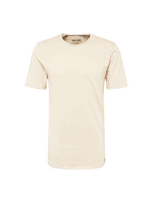 Only & Sons Bluser & t-shirts 'Benne'  lysegrå