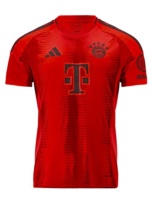 ADIDAS PERFORMANCE Fodboldtrøje 'FC Bayern München 2024/2025'  rød / mørkerød / sort