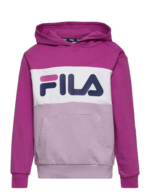 FILA Bagana Blocked Hoody FILA Pink