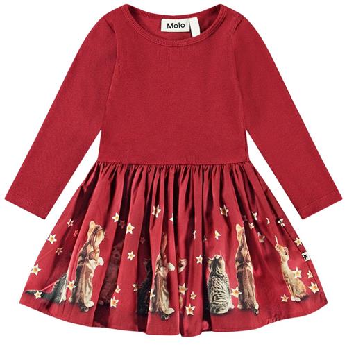 Se Molo GOTS Candi Kjole Velvety Kittens 80 cm  Rød  80 cm  kvinde ved Babyshop