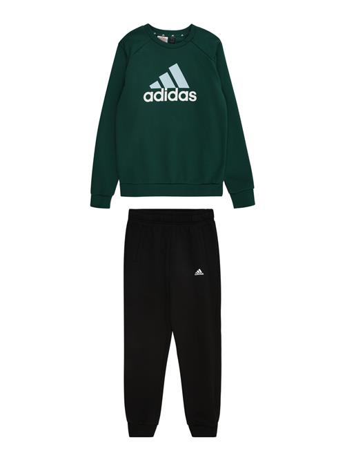 ADIDAS SPORTSWEAR Træningsdragt  turkis / gran / sort / hvid