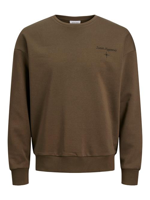 JACK & JONES Sweatshirt 'JJMYSTIC'  brun / mørkebrun