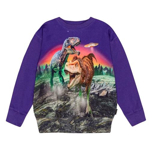 Se Molo GOTS Mattis Sweatshirt Dino Play | Lilla | 104 cm ved Babyshop