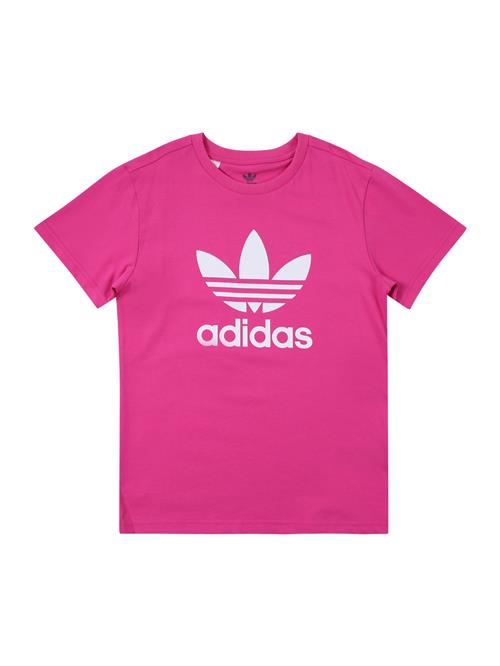 ADIDAS ORIGINALS Shirts 'Trefoil'  fuchsia / hvid