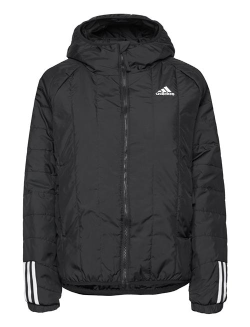 adidas Sportswear Itavic 3-Stripes Light Hooded Jacket Adidas Sportswear Black