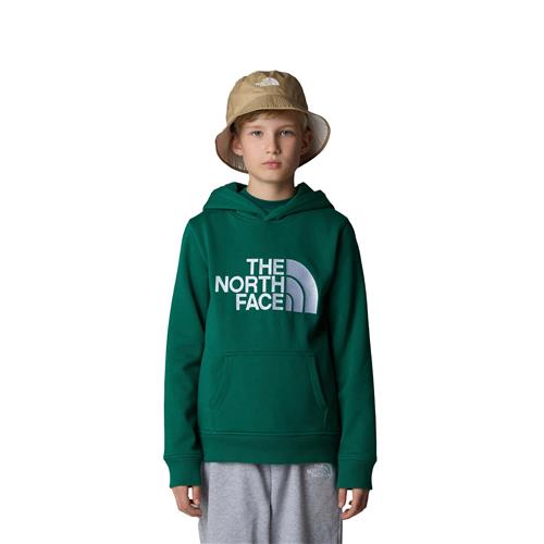 The North Face Drew Peak Hættetrøje 8-10 ÅR / M - Sweatshirts & Træningøjer hos Magasin