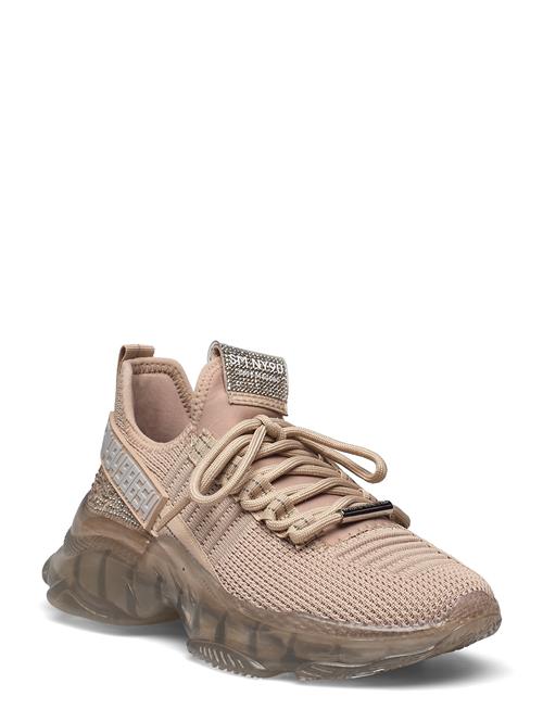 Steve Madden Maxilla-R Sneaker Steve Madden Beige