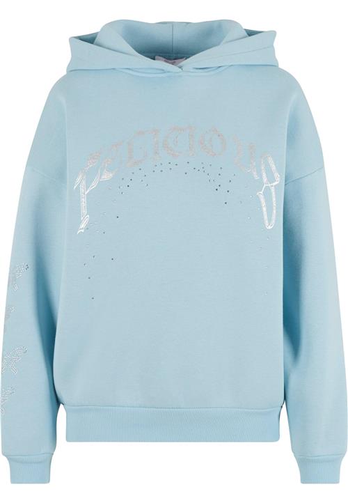 Felicious Sweatshirt  lyseblå / sølv