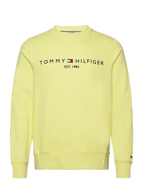 Se Tommy Hilfiger Tommy Logo Sweatshirt Tommy Hilfiger Yellow ved Booztlet