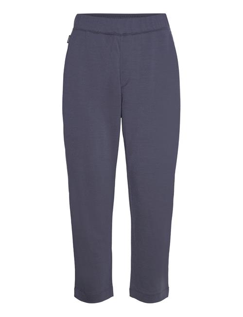 Icebreaker W Mer Crush Ii Ankle Pants Icebreaker Navy