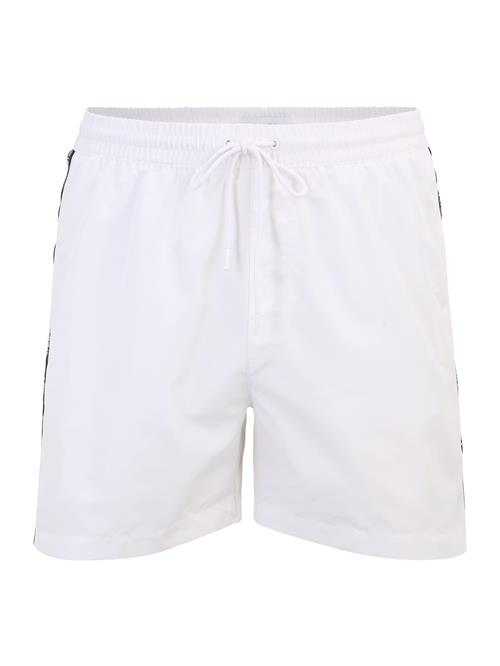 Calvin Klein Swimwear Badeshorts  sort / hvid