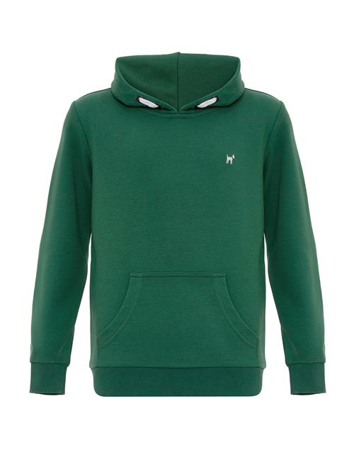 Williot Sweatshirt  grøn / hvid