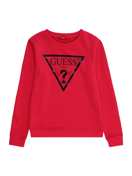 Se GUESS Sweatshirt  kirsebærsrød / sort ved About You