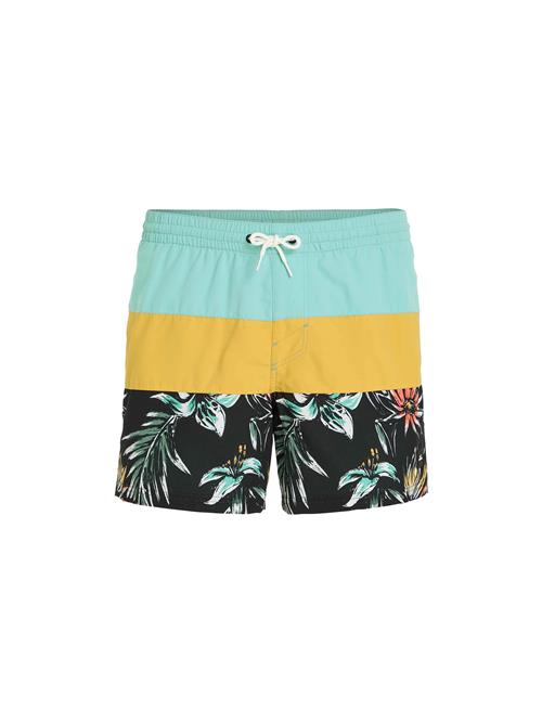 O'NEILL Badeshorts ' Mix & Match Cali Block 15'  blandingsfarvet