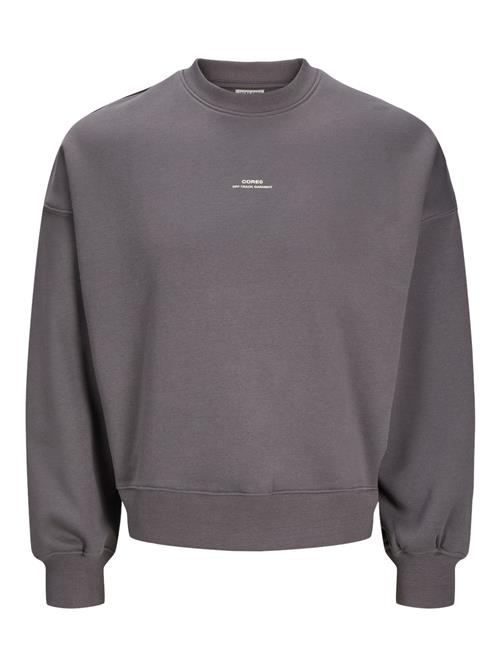 Se JACK & JONES Sweatshirt 'JCOTERRAIN'  grå / offwhite ved About You