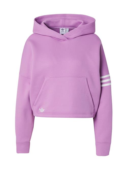 ADIDAS ORIGINALS Sweatshirt 'Neucl'  blomme / hvid