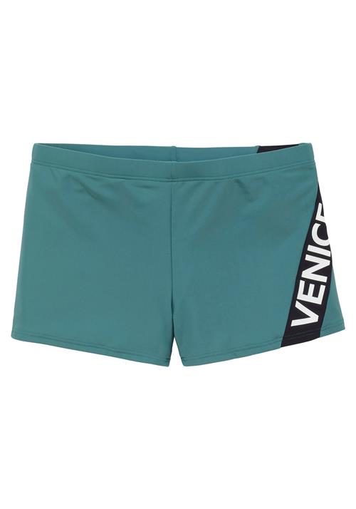 VENICE BEACH Badeshorts  jade / sort / hvid