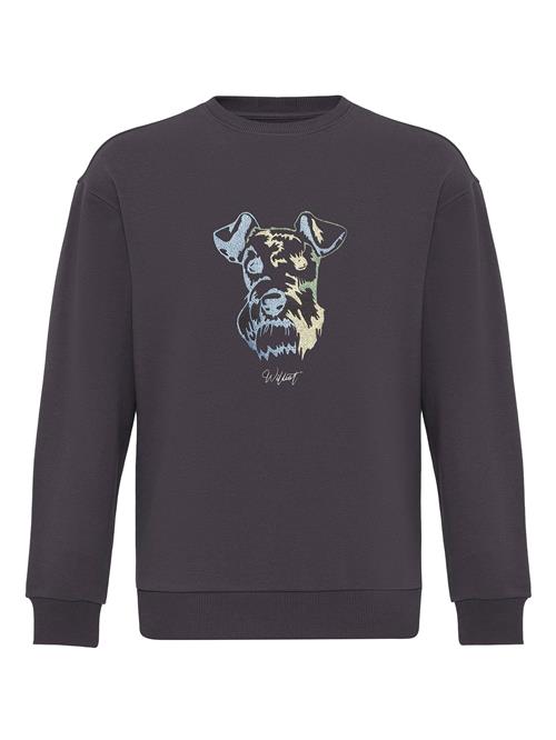 Williot Sweatshirt 'HUGO'  grå / blandingsfarvet