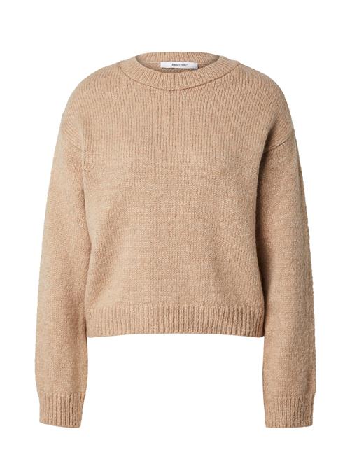 ABOUT YOU Pullover  beige-meleret