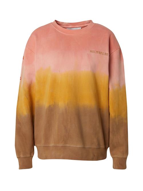 Helmstedt Sweatshirt 'Avery'  umbra / curry / hindbær / hvid