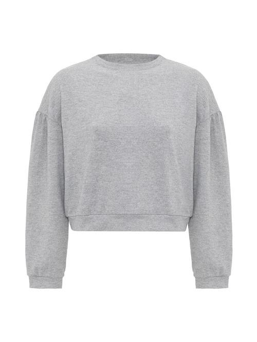 Se Williot Pullover 'Nelma'  grå ved About You