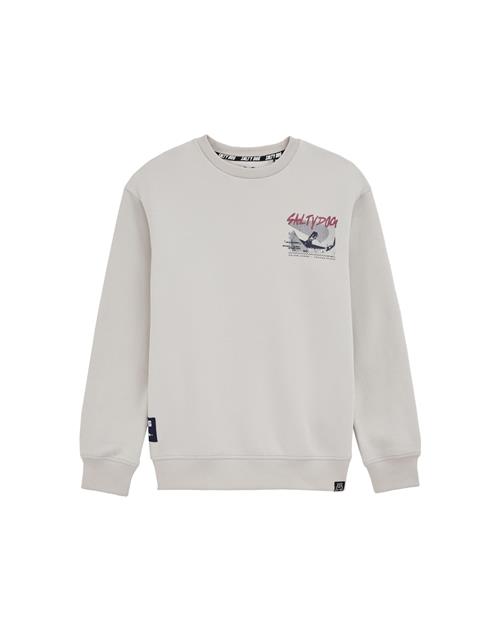 WE Fashion Sweatshirt  beige / blandingsfarvet