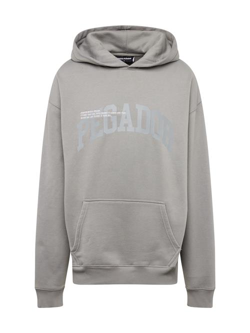 Se Pegador Sweatshirt 'GILFORD'  grå / hvid ved About You