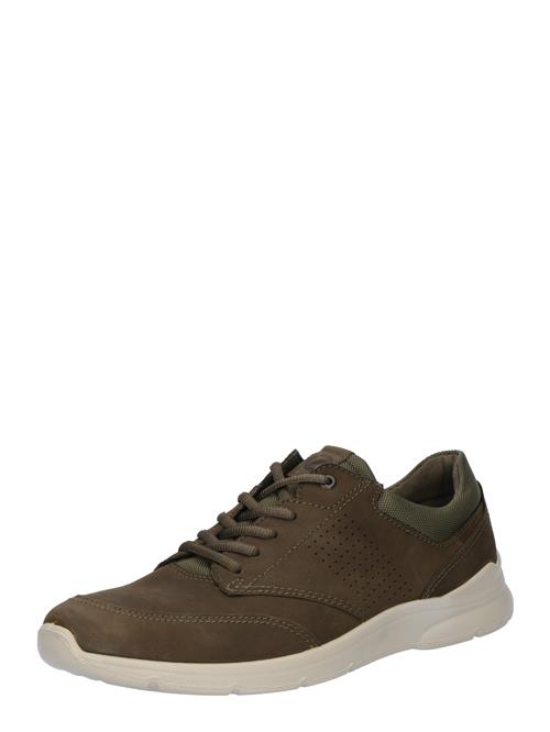 ECCO Sneaker low 'Irving'  brun / oliven