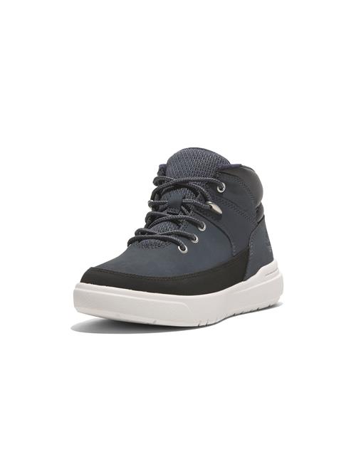 TIMBERLAND Sneakers  dueblå / antracit