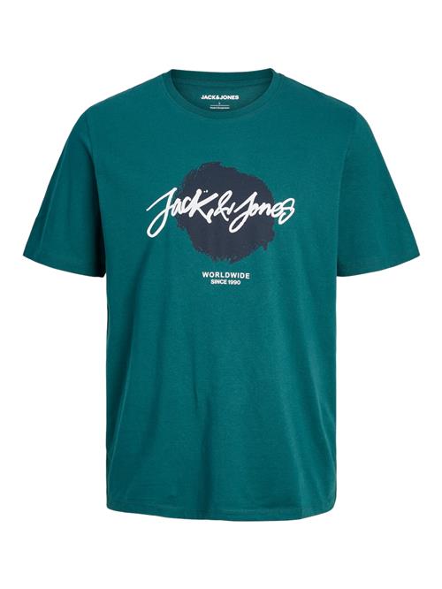 JACK & JONES Bluser & t-shirts 'JJTiley'  gran / sort / hvid