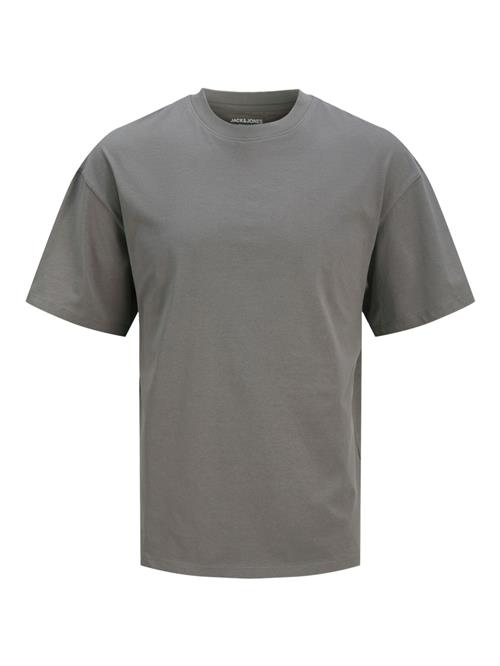 JACK & JONES Bluser & t-shirts 'JJEBRADLEY'  mudderfarvet