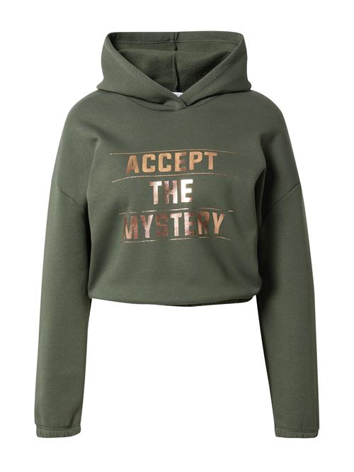 Se ABOUT YOU Sweatshirt 'Cheyenne'  bronze / grå / mørkegrøn ved About You