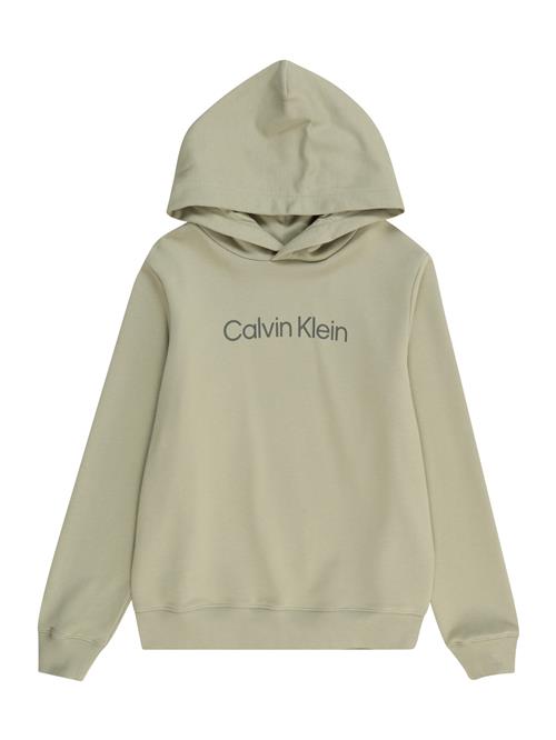 Calvin Klein Jeans Sweatshirt  lysegrøn / mørkegrøn