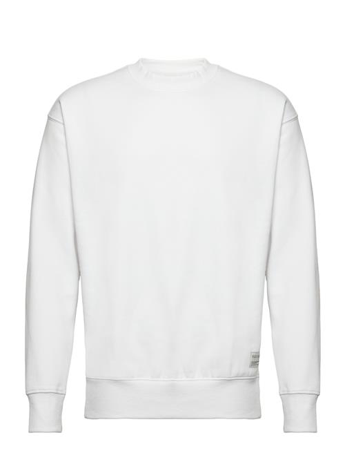 Sdlenz Crew Sw Solid White