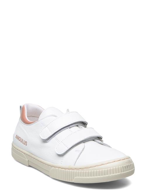 Shoes - Flat - With Velcro ANGULUS White