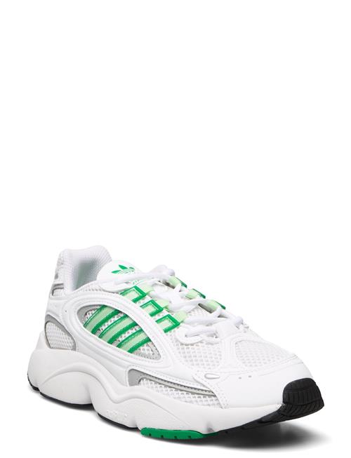 adidas Originals Ozmillen W Adidas Originals White