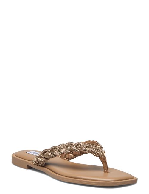 Steve Madden Amily-R Sandal Steve Madden Beige