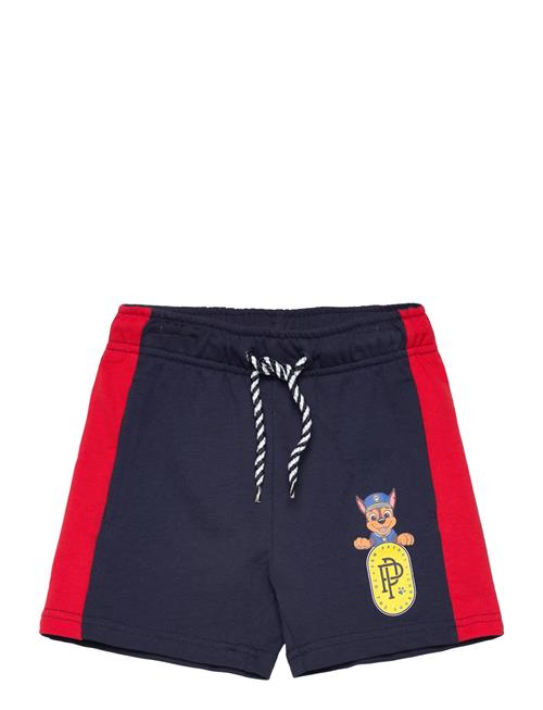 Se Paw Patrol Shorts Paw Patrol Navy ved Booztlet