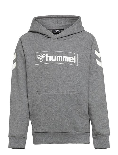 Hummel Hmlbox Hoodie Hummel Grey