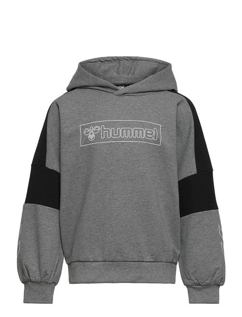 Hummel Hmlboxline Hoodie Hummel Grey