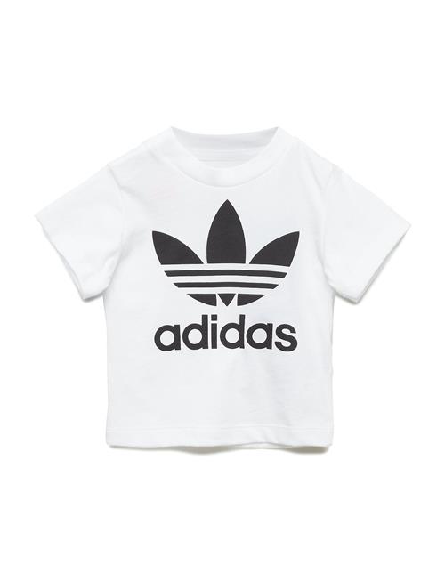 Trefoil Tee Adidas Originals White